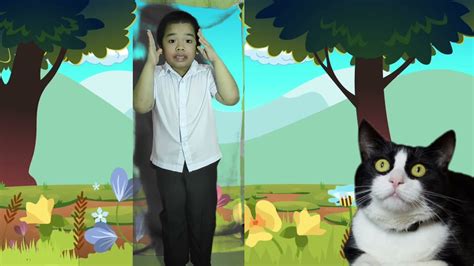 ANG ALAGA KONG KUTING Performed by ANGELO .